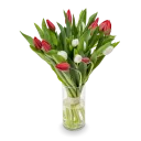 Kytice červených a bílých tulipánů